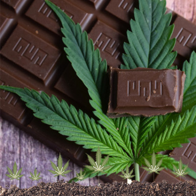 Cioccolato fondente alla canapa -  MADE IN ITALY