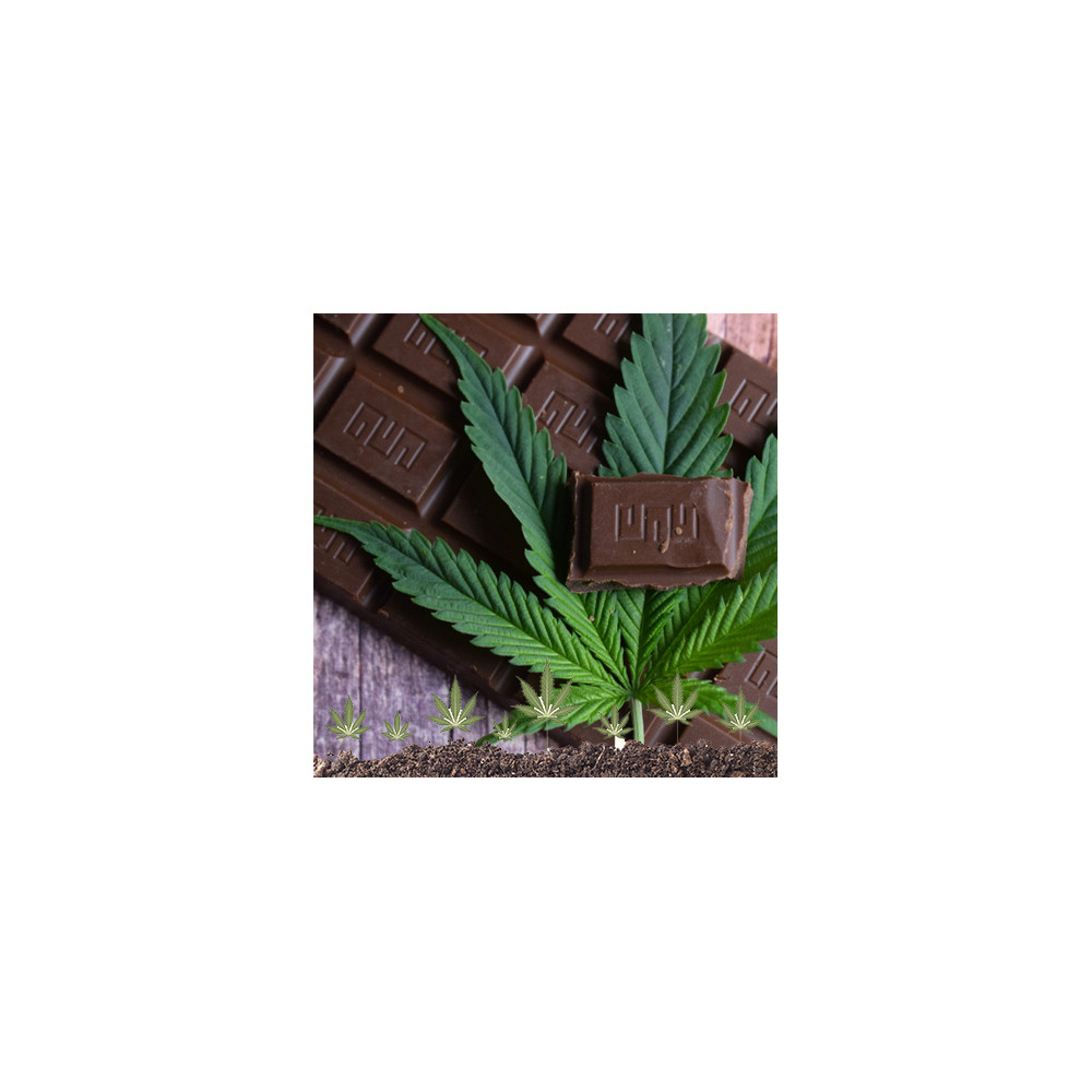 Cioccolata fondente alla canapa -  MADE IN ITALY