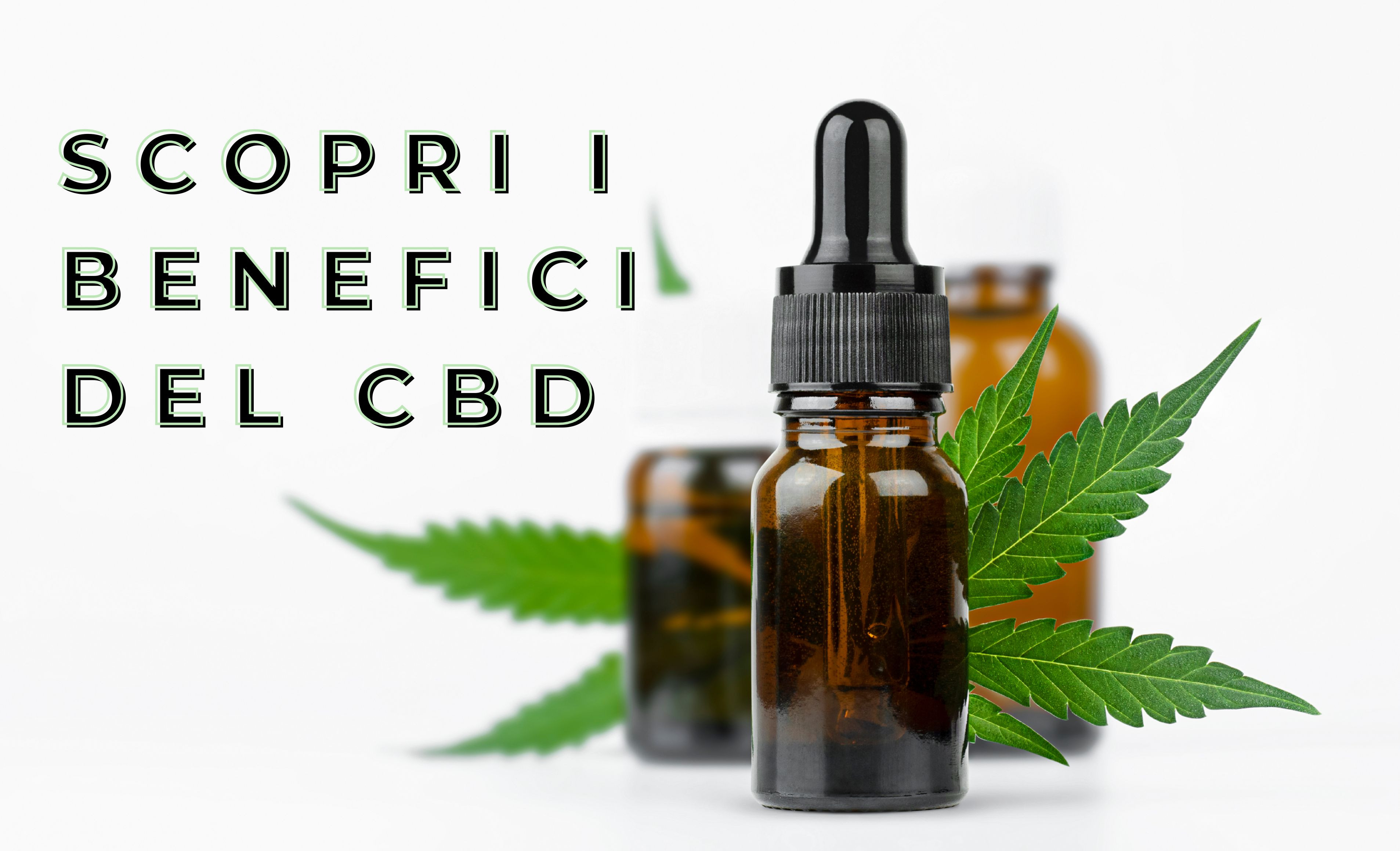 Guida alle percentuali di CBD: cosa sono e quale scegliere?